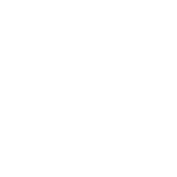 白色のお金