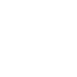 パレット