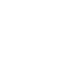 白色の忍者